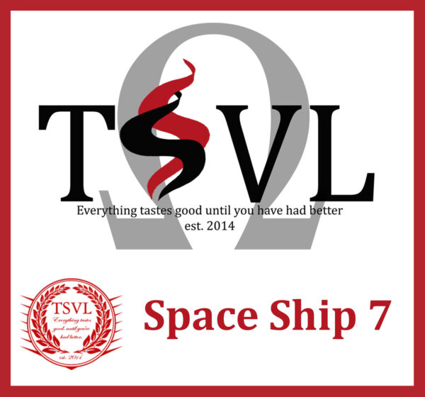Space Ship 7